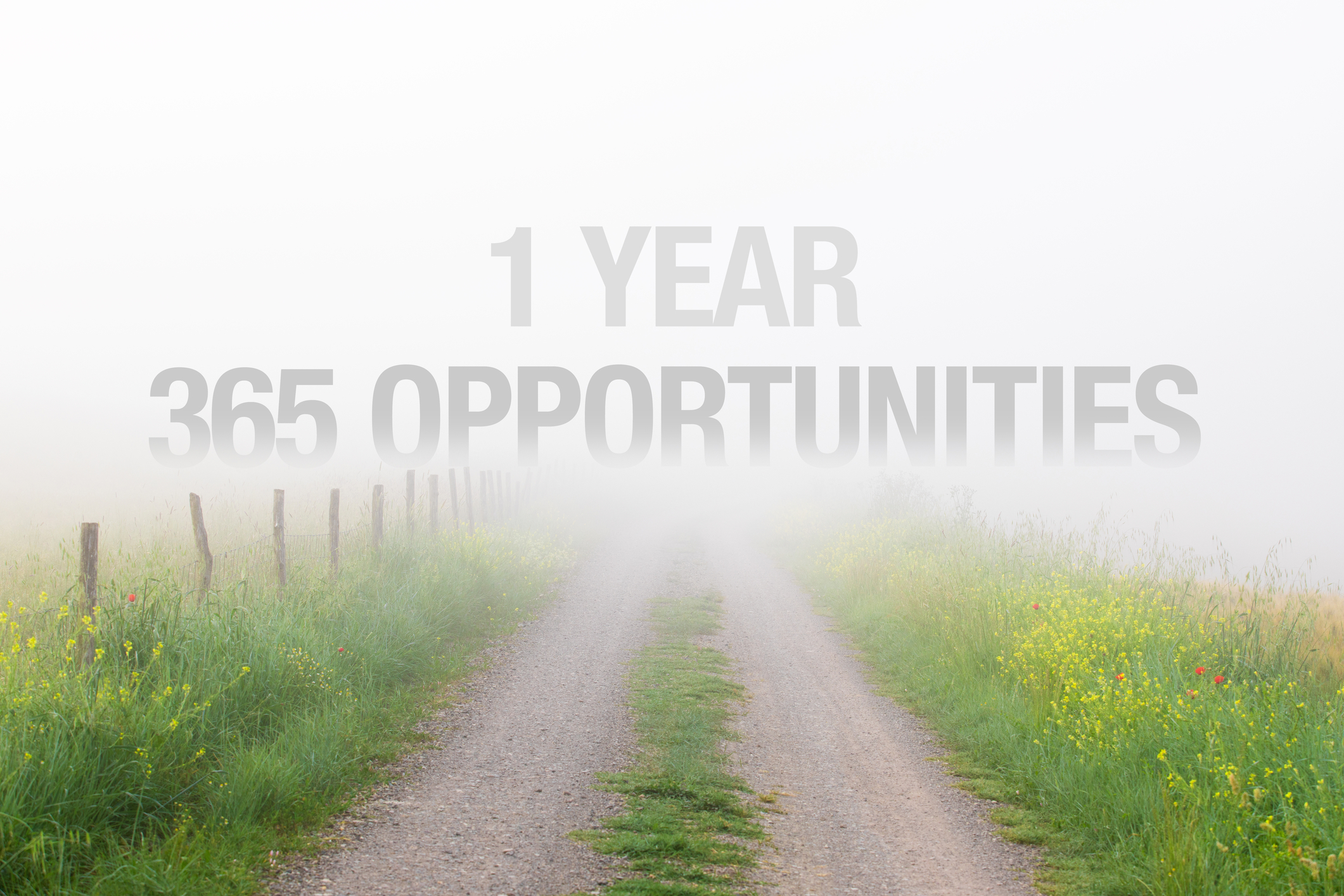 365_opportunities